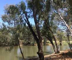 Hotel Wagga Wagga Beach Caravan Park