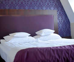 Hotel Zamek Centrum