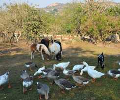 Bundu Lodge