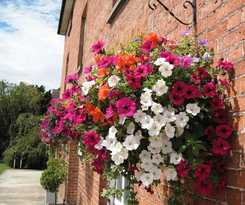 Hotel The Clive Arms