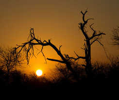 Hotel Rhino Ridge Safari Lodge