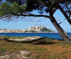 Camping International