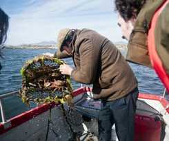 Hotel Ballynahinch Castle