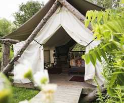 Firelight Camps