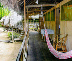 Hotel Jungle Wolf Expeditions
