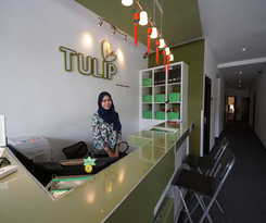 Hotel Tulip