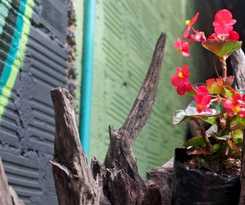 Hostel Ulucaho -