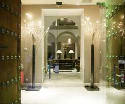 Petit Palace Marques Santa Ana