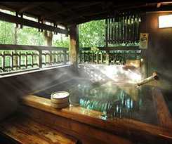 Hotel Kurokawa Onsen Oyado Noshiyu