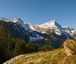 Hotel Griesalp Hotels