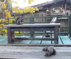 Hotel Auberge Kita No Dan Dan