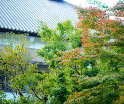 1000 Years Of Tradition - Akiu Onsen Sakan