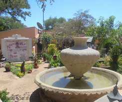 Tatenda Safaris