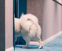 Hotel Citadines Connect Sydney Airport