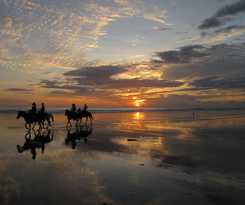 Hotel Las Lajas Beach Resort