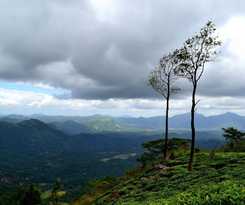 Green View Holiday Resort