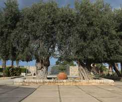  Nuovo Castello Crisilio