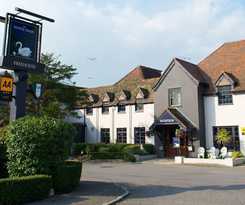 The White Swan