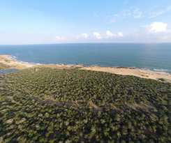 Wild Coast Tented Lodge