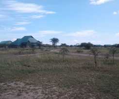 Zebra Kemang'ore Bush Tented Lodge