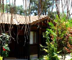 Koala Bungalows