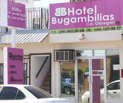 Bugambilias
