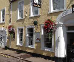 The Swan