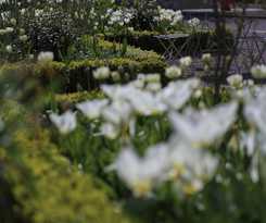 Hotel Middleton Lodge