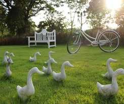 Hotel Eden Garden Resort