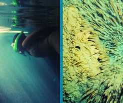 Hotel Cenote Balam-ha