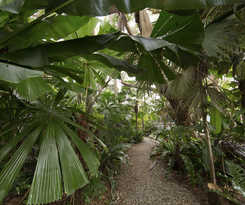 Hotel Club Wyndham Mission Beach