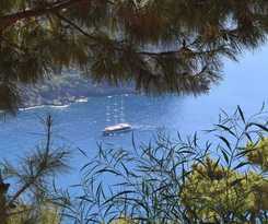  Kabak Avalon
