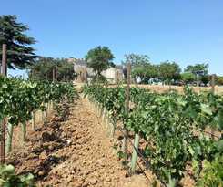  Posada Real Castillo Del Buen Amor
