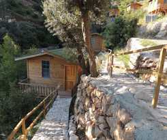 Gunes Holiday