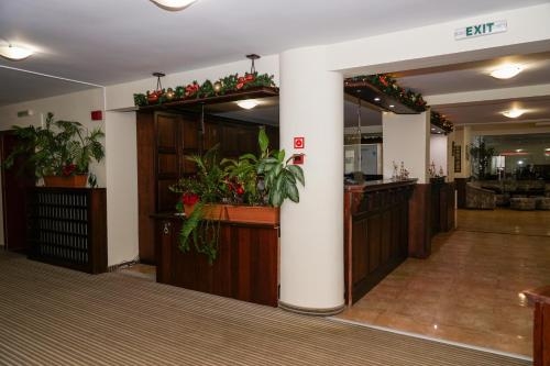 Iglika Palace Winter