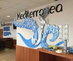 Mediterranea