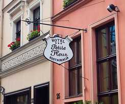 Petite Fleur - Adults Only