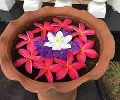 Hotel Leijay Garden Retreat