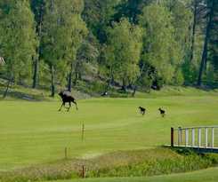 Hotel &Aring;da Golf and Country Club