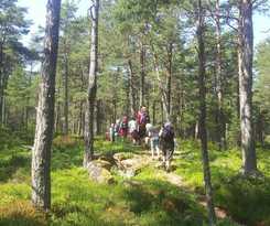 Hotel Naturum V&auml;nersk&auml;rg&aring;rden - Victoriahuset