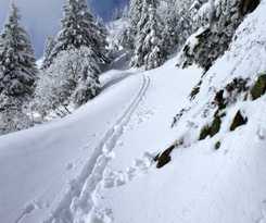 Hotel Apartmany Firn