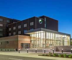 Element Moline