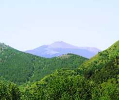 Hostel Holiness Youth