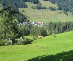  Kienles Adlerk&ouml;nig