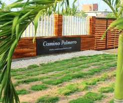 Camino Palmero Coveñas