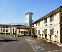 Spark by Hilton Williams