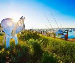 Hotel White Elephant