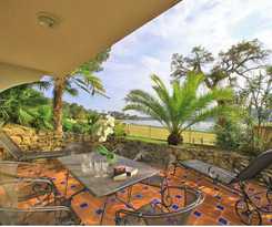 Les Hortensias Du Lac