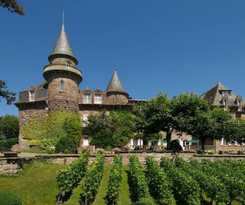 Château De Castel Novel