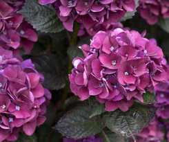 Hotel Le Village Cancalais